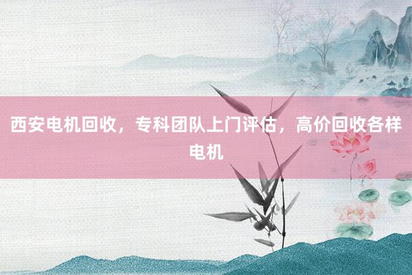 西安电机回收，专科团队上门评估，高价回收各样电机